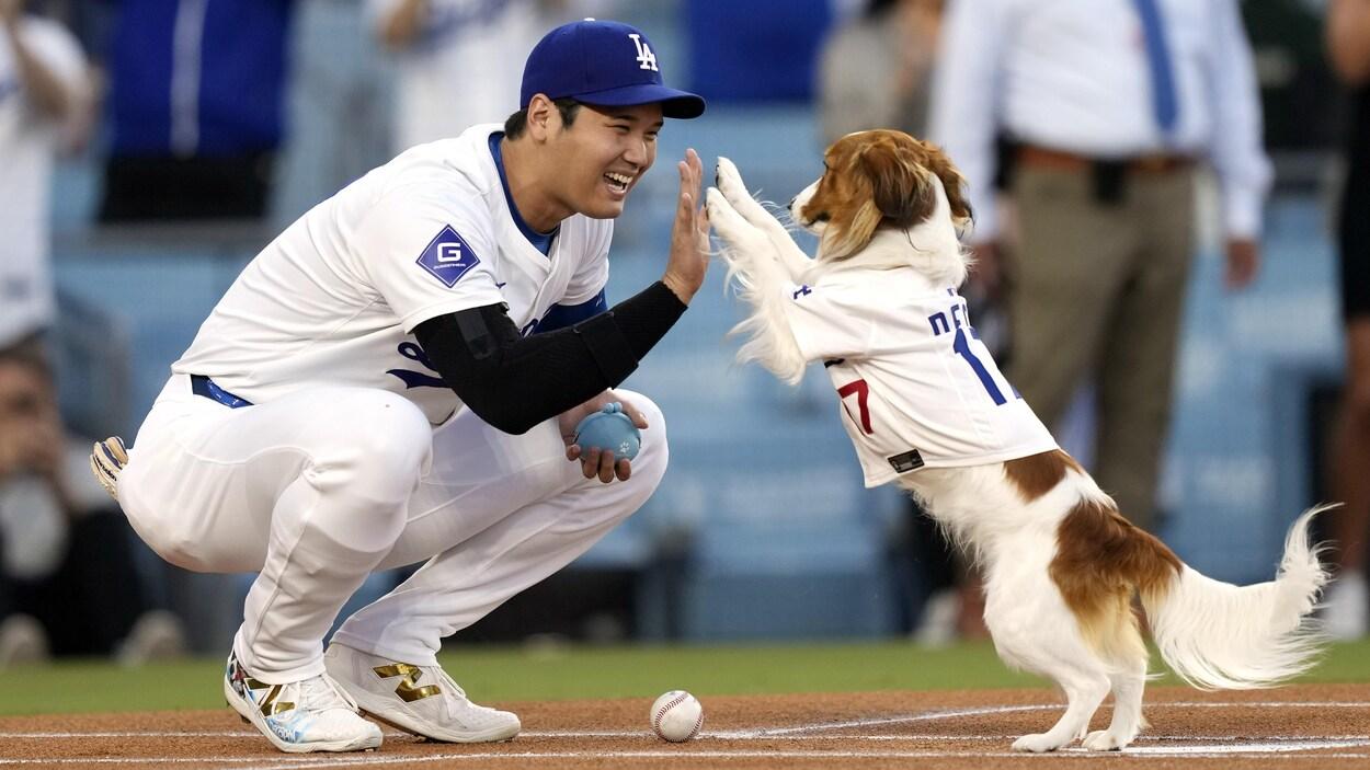 Shohei Ohtani : battage médiatique à Toronto, à l’approche de la Série mondiale