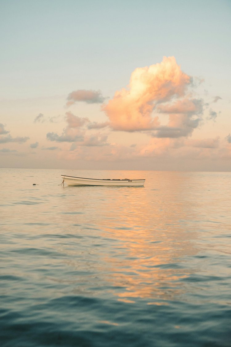Best Beaches in Tanzania for Relaxation, Snorkeling & Adventure